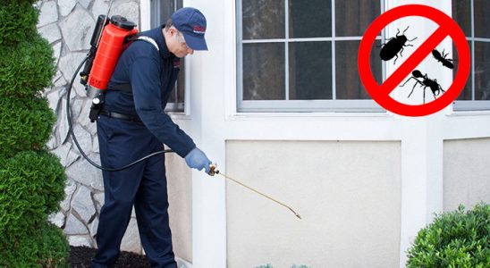 Nergiz Böcek ve Haşere İlaçlama böcek ilaçlama ve haşere kontrolü — ilaclama-tr.com